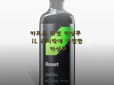 카프로 리셋 카샴푸 1L, 유리막 코 관련 이미지